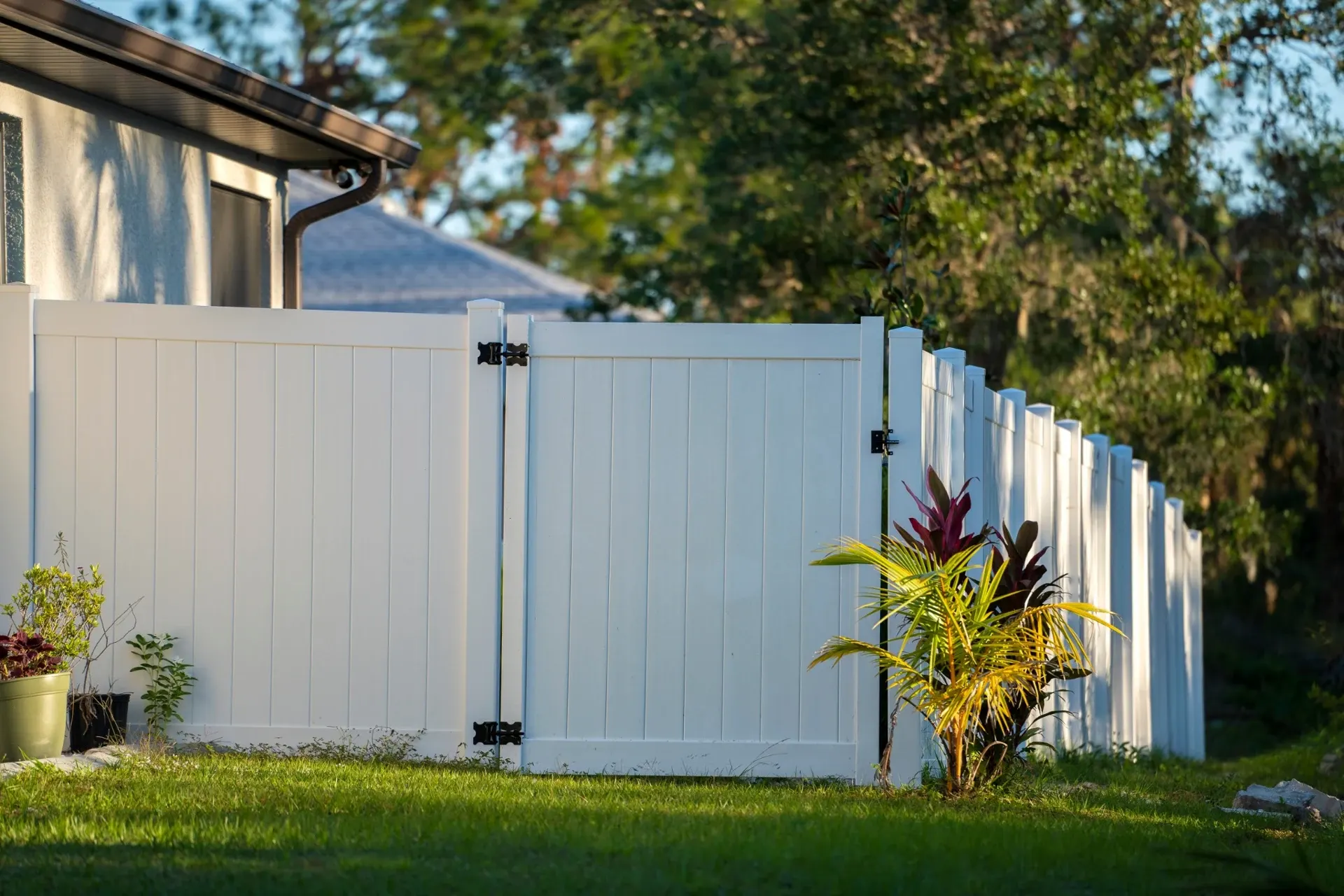 White vinyl fence with black hinges and gate in residential backyard with tropical plants