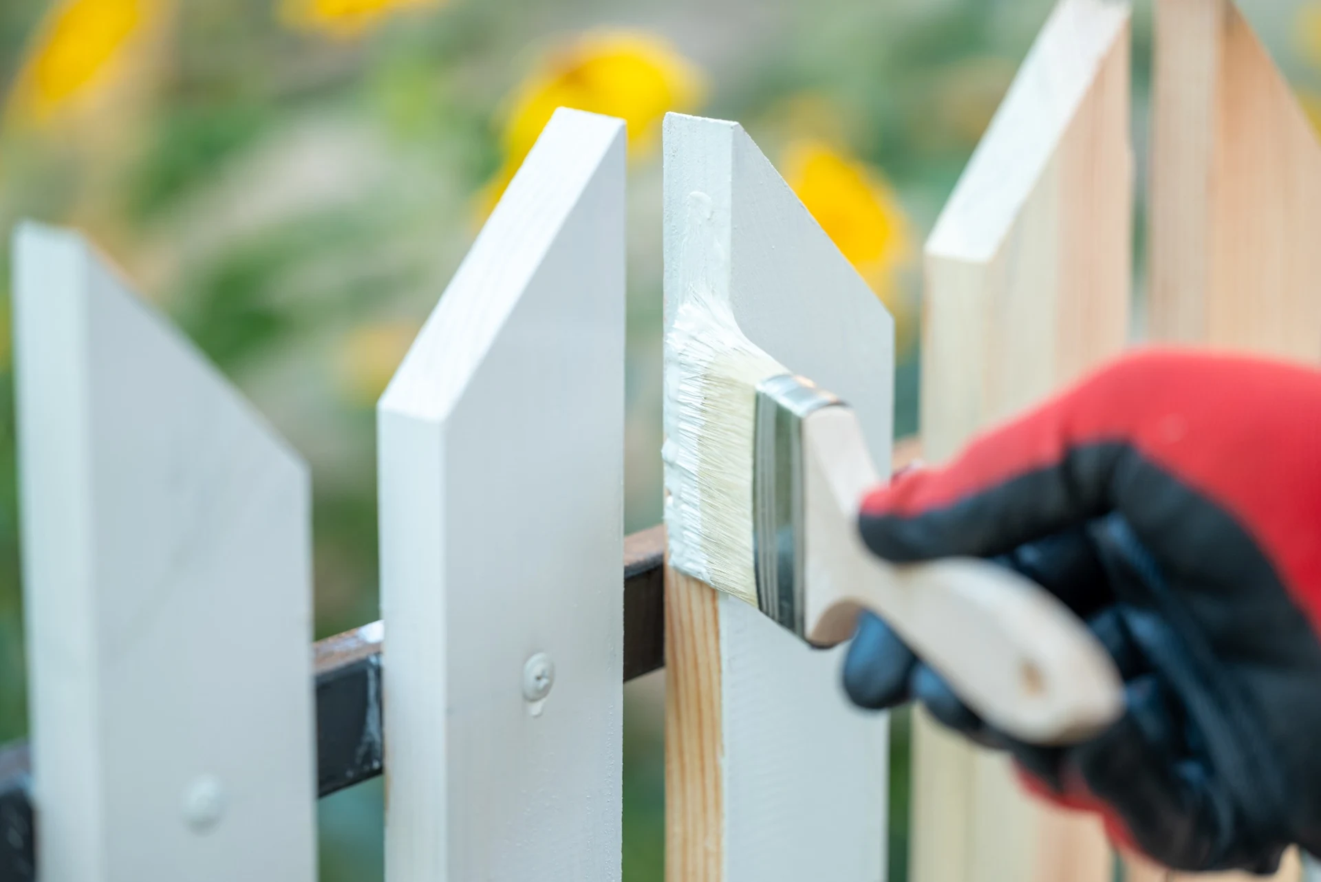 Worker painting white wooden fence with brush outdoors