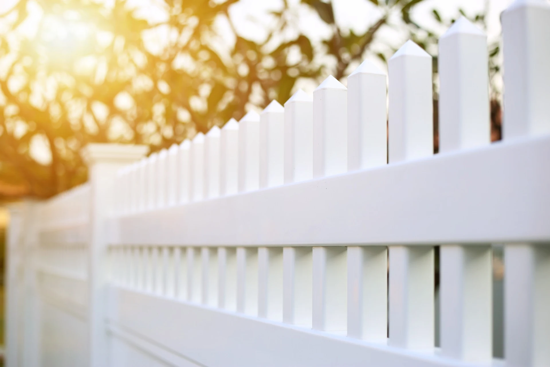 White picket fence with golden sunlight filtering through blurred foliage in background